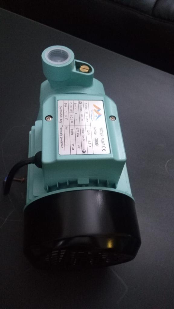 Casa England 1 HP Water Pump — view 7 of 8